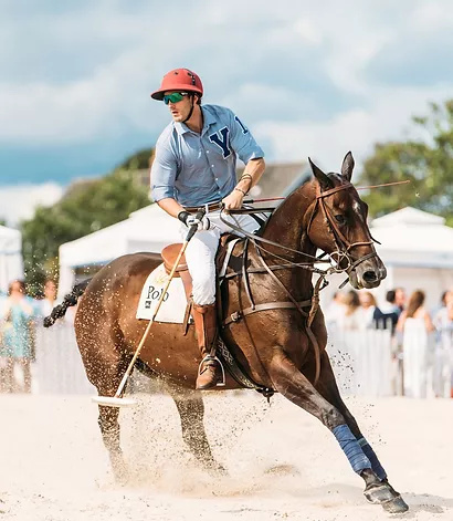 yale polo club
