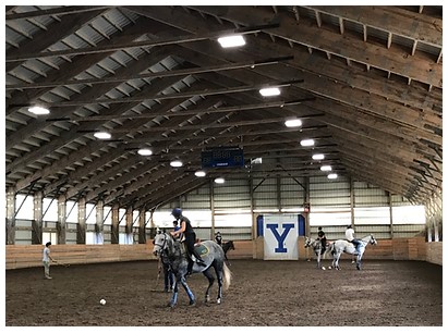 Yale Bethany