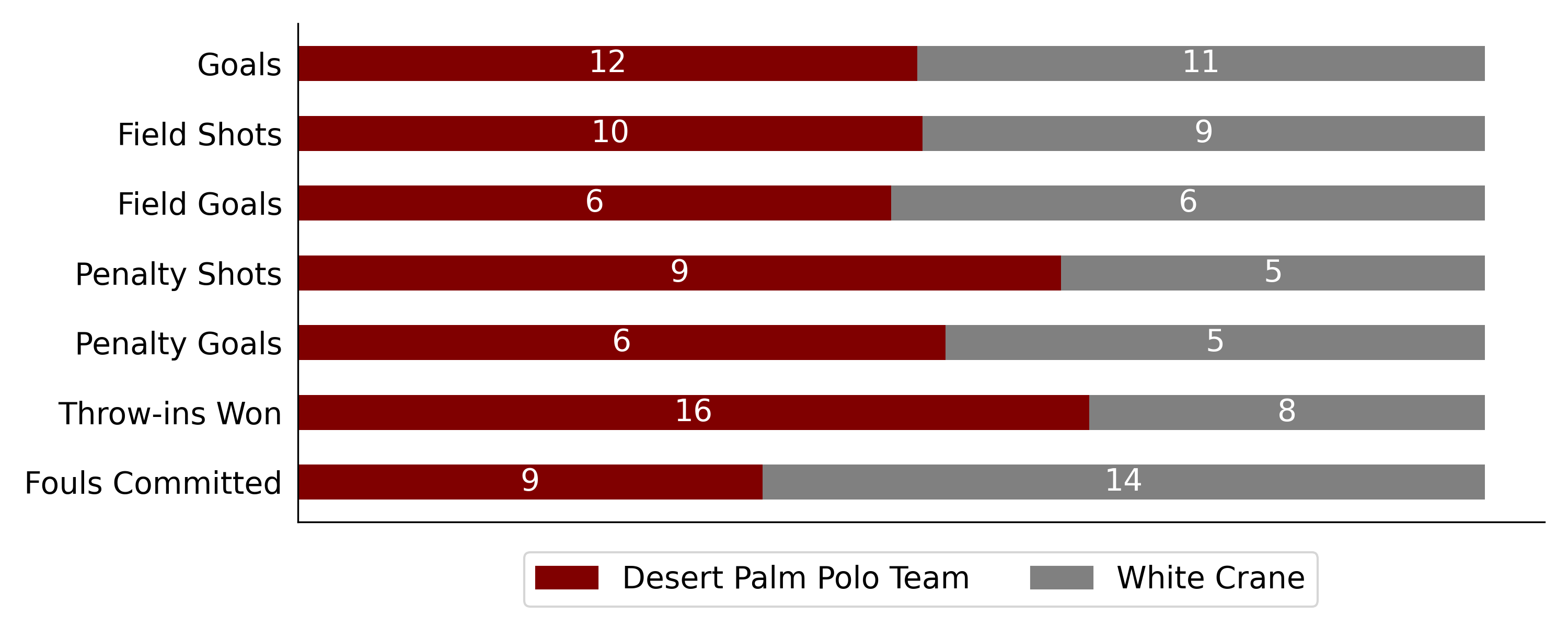 Desert Palm Polo Team won against White Crane 6